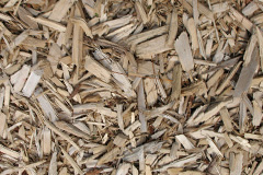 biomass boilers Lydden